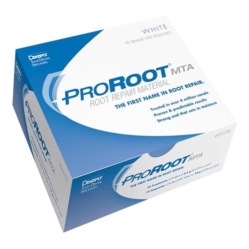 PROROOT MTA MAILLEFER 10X0,5GR WIT A040500000400